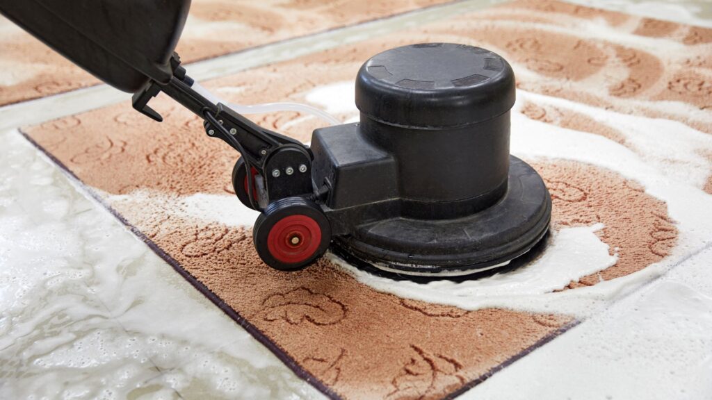 carpet cleaning services