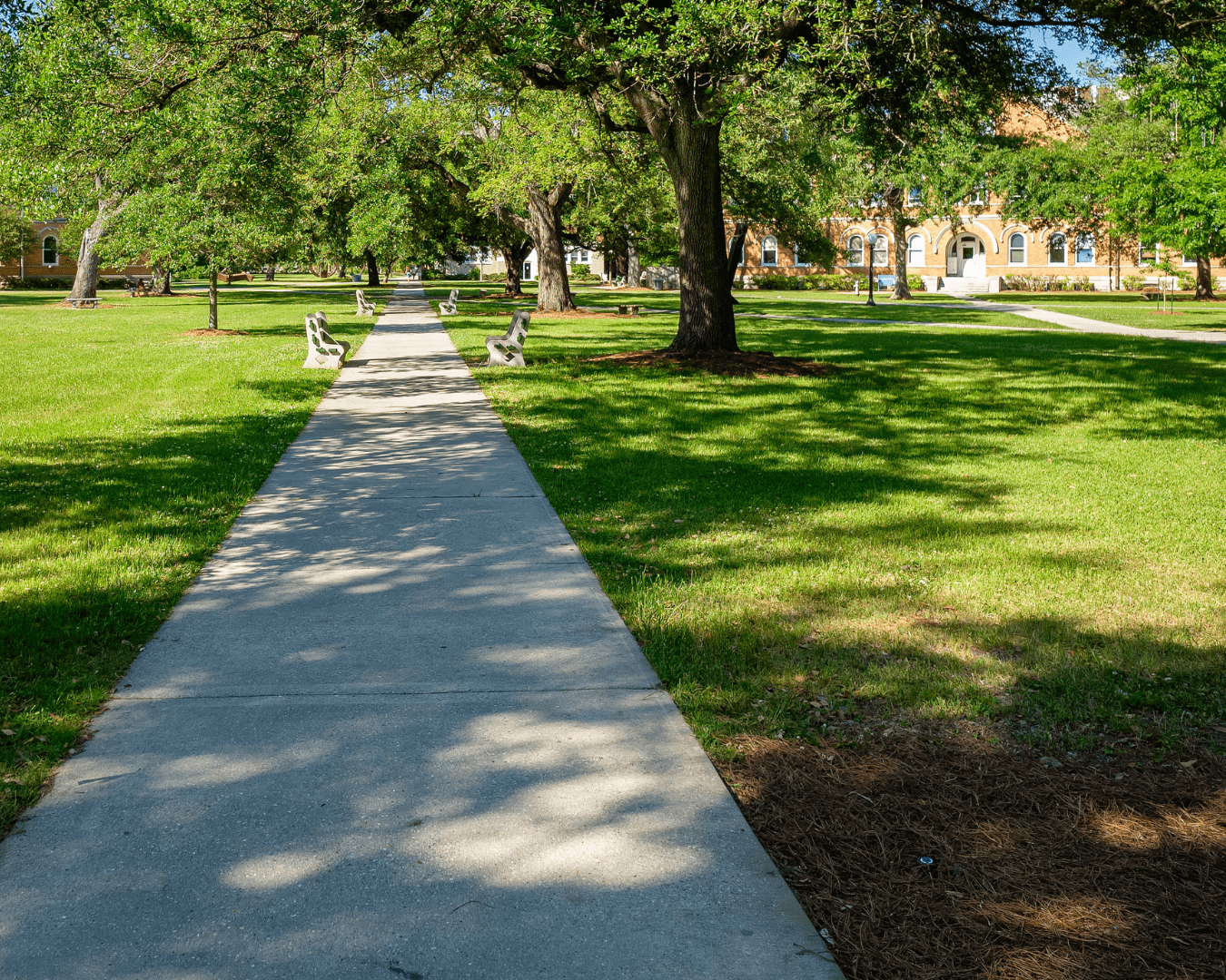 campus cleaning